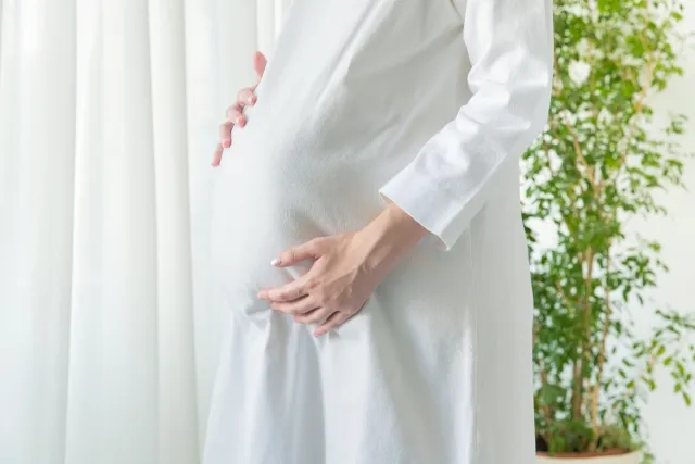 腹帯をする時期の妊婦