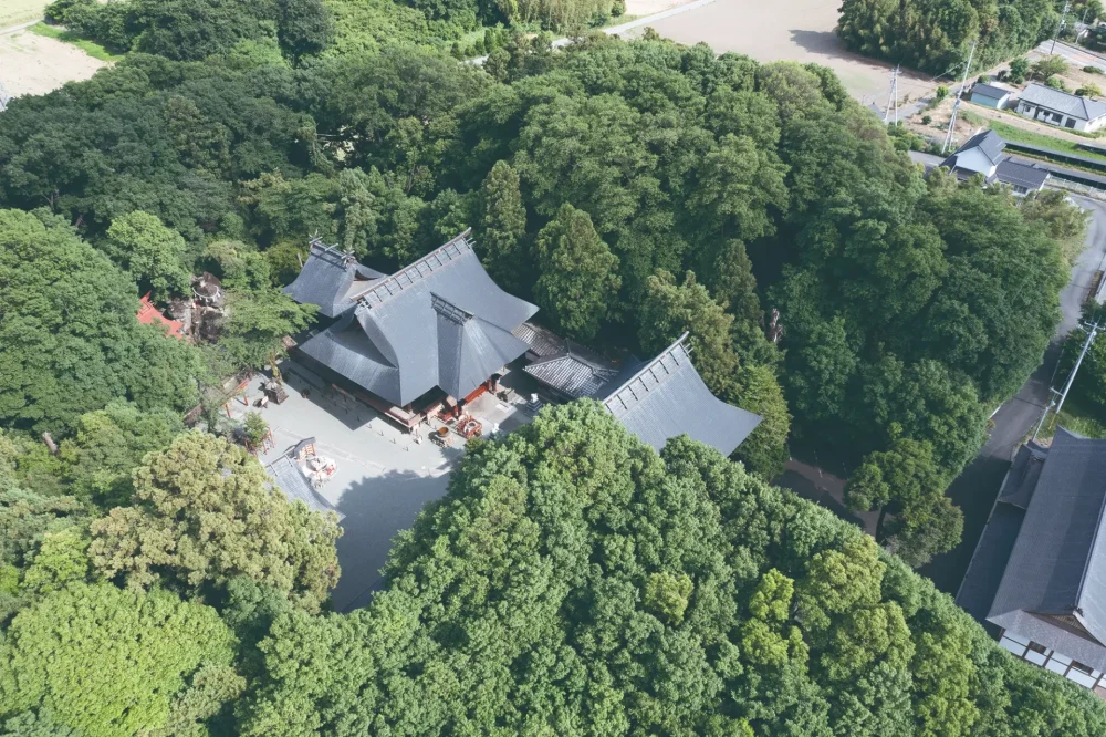 どんぐりからつくる「産泰神社 鎮守の杜プロジェクト」