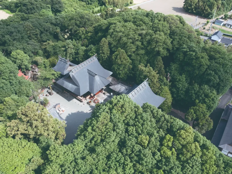 どんぐりからつくる「産泰神社 鎮守の杜プロジェクト」