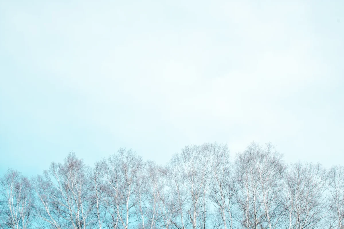 寒い冬の風景