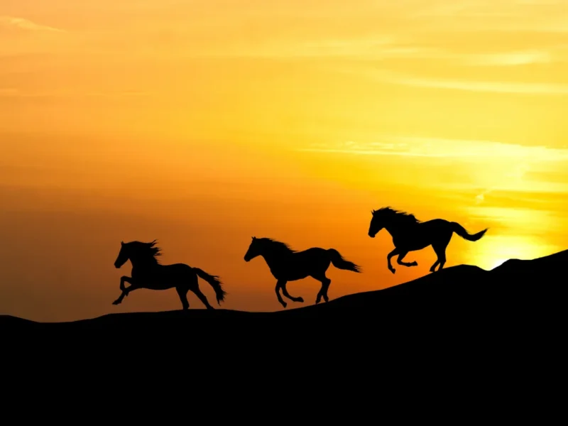 丙午（ひのえうま）とは？――2026年の意味・該当年・由来をやさしく解説